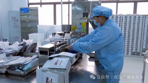 隆阳区 厚植创新驱动沃土，信息技术咨询服务企业展现蓬勃生机