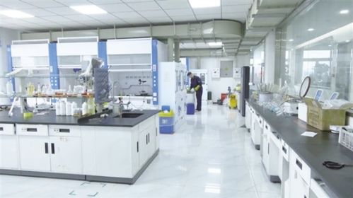 玉门以科技创新驱动产业创新，信息技术咨询服务助推企业转型